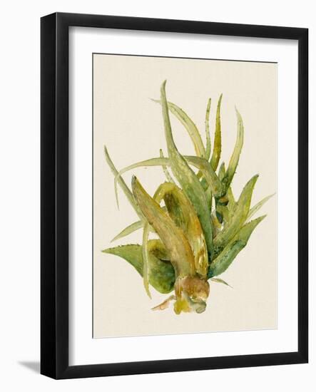 Aloe Vera I-Maya Woods-Framed Art Print