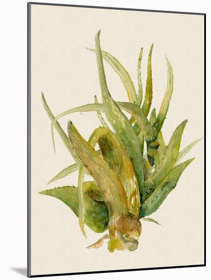 Aloe Vera I-Maya Woods-Mounted Art Print