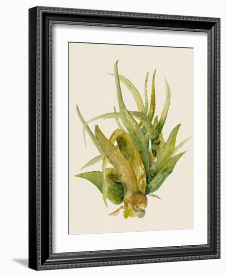 Aloe Vera I-Maya Woods-Framed Art Print