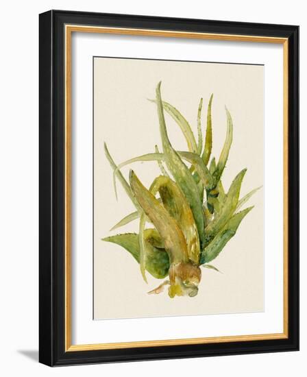 Aloe Vera I-Maya Woods-Framed Art Print