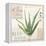 Aloe Vera…Sketchbook-Angela Staehling-Framed Stretched Canvas