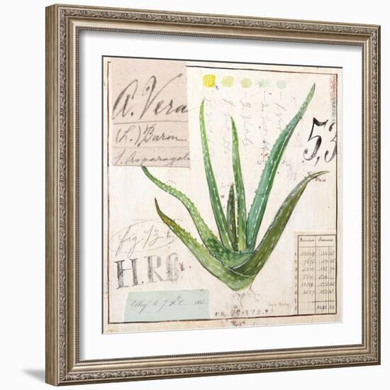 Aloe Vera…Sketchbook-Angela Staehling-Framed Art Print