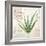 Aloe Vera…Sketchbook-Angela Staehling-Framed Art Print