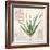 Aloe Vera…Sketchbook-Angela Staehling-Framed Art Print