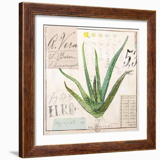 Aloe Vera…Sketchbook-Angela Staehling-Framed Art Print