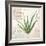 Aloe Vera…Sketchbook-Angela Staehling-Framed Art Print