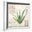 Aloe Vera…Sketchbook-Angela Staehling-Framed Art Print