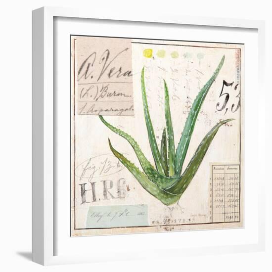 Aloe Vera…Sketchbook-Angela Staehling-Framed Art Print