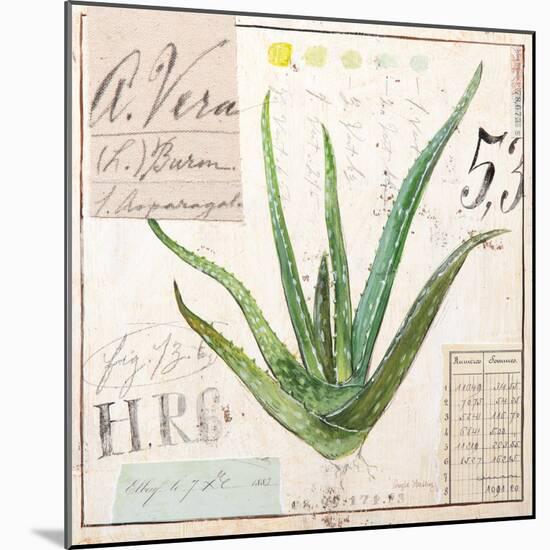 Aloe Vera…Sketchbook-Angela Staehling-Mounted Art Print