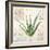 Aloe Vera…Sketchbook-Angela Staehling-Framed Art Print