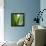 Aloe Vera-Alexander Feig-Framed Premier Image Canvas displayed on a wall