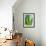 Aloe Vera-Kia Nu-Framed Photographic Print displayed on a wall