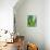 Aloe Vera-Kia Nu-Mounted Photographic Print displayed on a wall