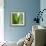 Aloe Vera-Alexander Feig-Framed Photographic Print displayed on a wall