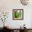 Aloe Vera-Alexander Feig-Framed Photographic Print displayed on a wall