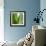 Aloe Vera-Alexander Feig-Framed Photographic Print displayed on a wall