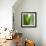 Aloe Vera-Alexander Feig-Framed Photographic Print displayed on a wall