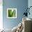 Aloe Vera-Alexander Feig-Framed Photographic Print displayed on a wall