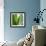 Aloe Vera-Alexander Feig-Framed Photographic Print displayed on a wall