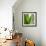 Aloe Vera-Alexander Feig-Framed Photographic Print displayed on a wall