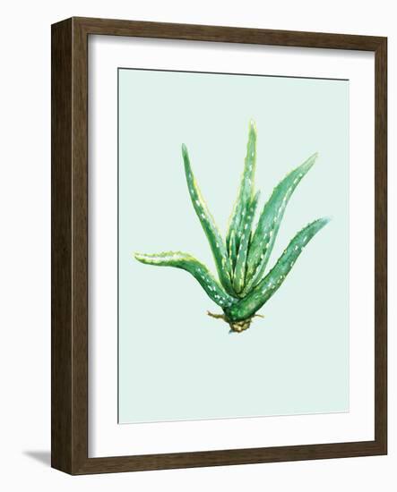 Aloe Vera-Heaven on 3rd-Framed Art Print