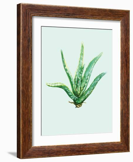 Aloe Vera-Heaven on 3rd-Framed Art Print