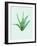 Aloe Vera-Heaven on 3rd-Framed Art Print