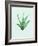 Aloe Vera-Heaven on 3rd-Framed Art Print