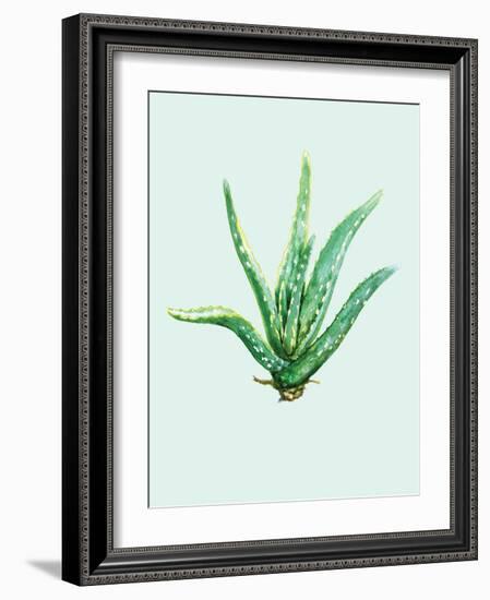 Aloe Vera-Heaven on 3rd-Framed Art Print