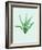 Aloe Vera-Heaven on 3rd-Framed Art Print