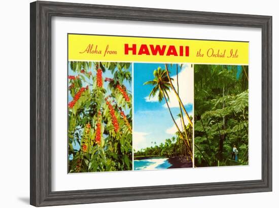 Aloha from Hawaii-null-Framed Art Print