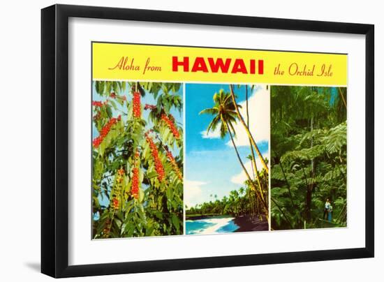 Aloha from Hawaii-null-Framed Art Print