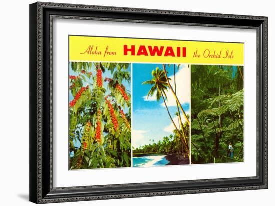 Aloha from Hawaii-null-Framed Art Print