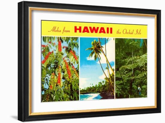 Aloha from Hawaii-null-Framed Art Print