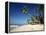 Alona Beach on the Island of Panglao Off the Coast of Bohol, in the Philippines, Southeast Asia-Robert Francis-Framed Premier Image Canvas