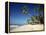 Alona Beach on the Island of Panglao Off the Coast of Bohol, in the Philippines, Southeast Asia-Robert Francis-Framed Premier Image Canvas