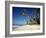 Alona Beach on the Island of Panglao Off the Coast of Bohol, in the Philippines, Southeast Asia-Robert Francis-Framed Photographic Print