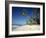 Alona Beach on the Island of Panglao Off the Coast of Bohol, in the Philippines, Southeast Asia-Robert Francis-Framed Photographic Print