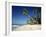 Alona Beach on the Island of Panglao Off the Coast of Bohol, in the Philippines, Southeast Asia-Robert Francis-Framed Photographic Print