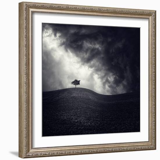 Alone Again-Luis Beltran-Framed Photographic Print