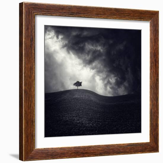 Alone Again-Luis Beltran-Framed Photographic Print