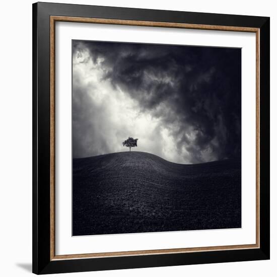 Alone Again-Luis Beltran-Framed Photographic Print