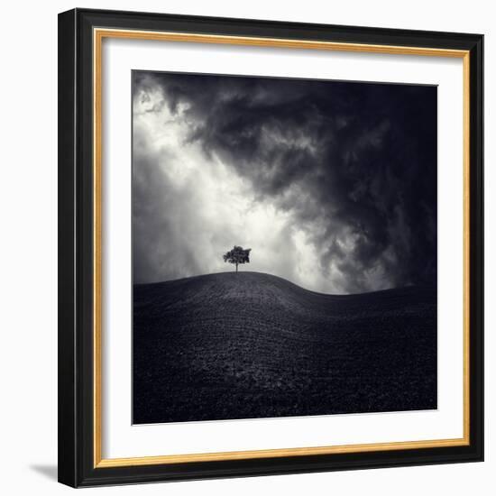 Alone Again-Luis Beltran-Framed Photographic Print