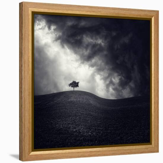 Alone Again-Luis Beltran-Framed Premier Image Canvas