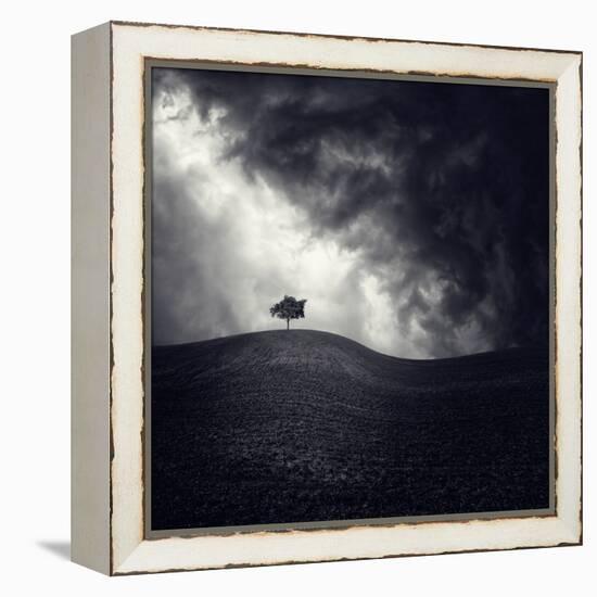 Alone Again-Luis Beltran-Framed Premier Image Canvas