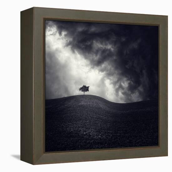 Alone Again-Luis Beltran-Framed Premier Image Canvas