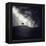 Alone Again-Luis Beltran-Framed Premier Image Canvas