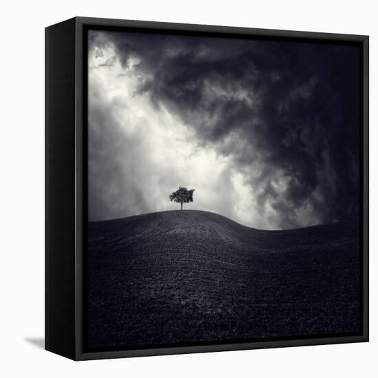 Alone Again-Luis Beltran-Framed Premier Image Canvas