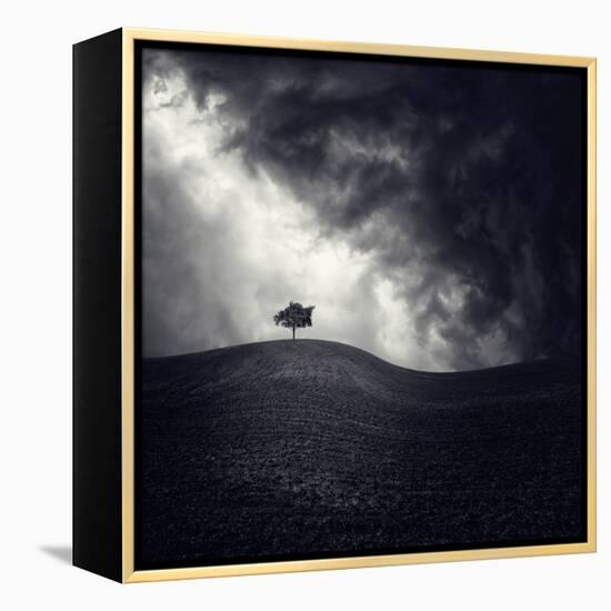 Alone Again-Luis Beltran-Framed Premier Image Canvas