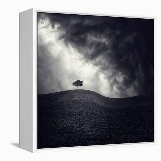 Alone Again-Luis Beltran-Framed Premier Image Canvas